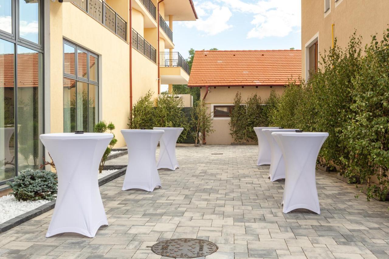 Hotel Leul De Aur Sebes  Exterior photo